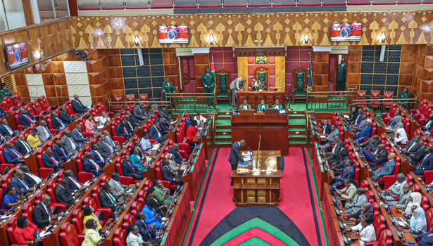 File Image of MPs in parliament.